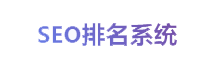 SEO网站自动首页排名系统，网站关键词排名系统